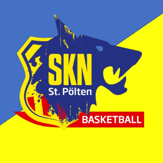 Logo SKN